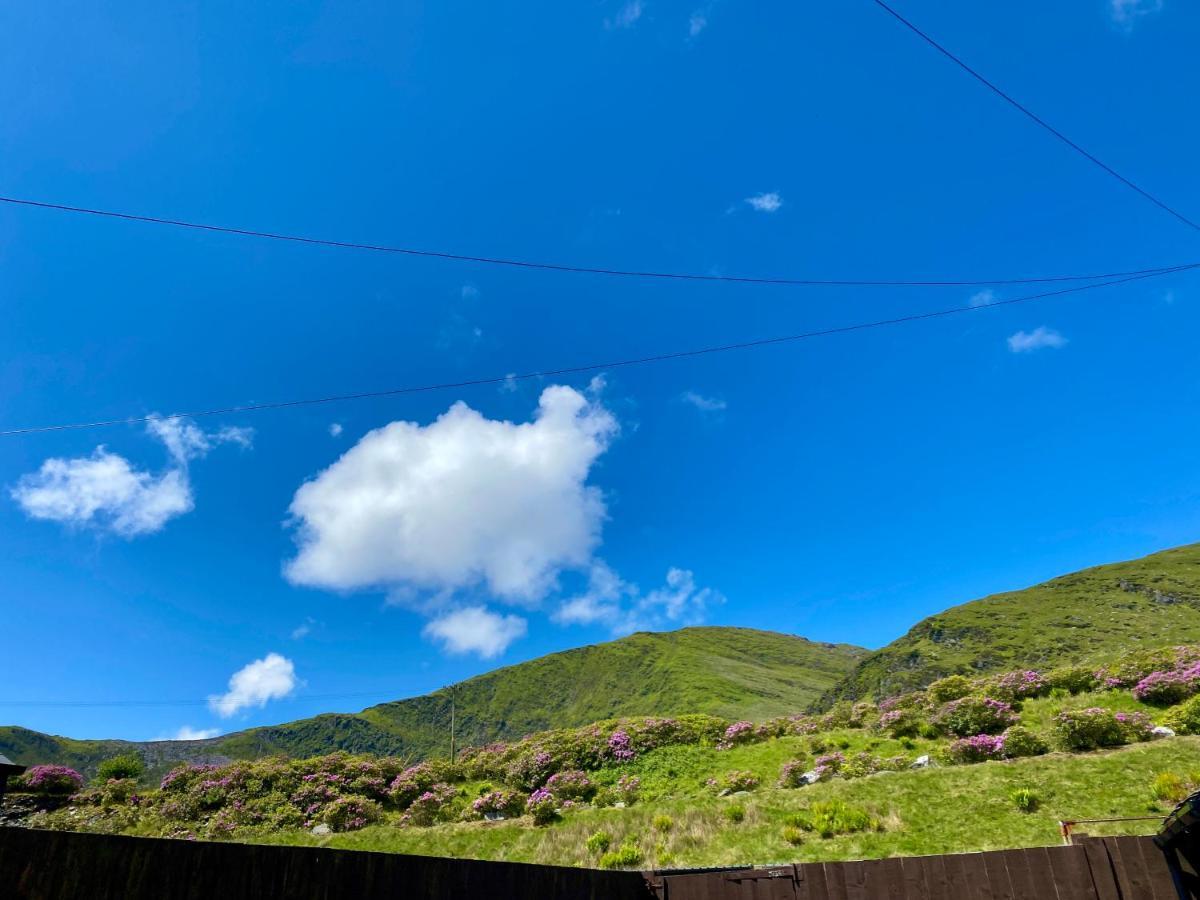 Antur Cottage Blaenau Ffestiniog Exterior photo
